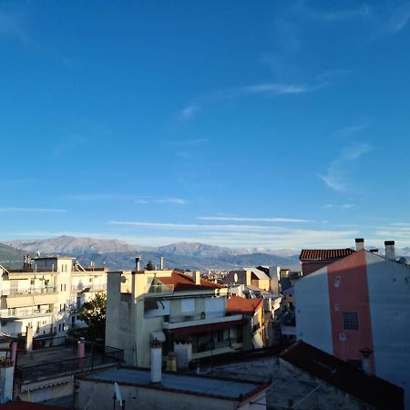 Comfy Urban Apartment Ioannina Buitenkant foto