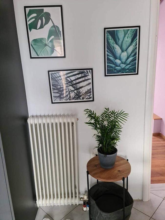Comfy Urban Apartment Ioannina Buitenkant foto